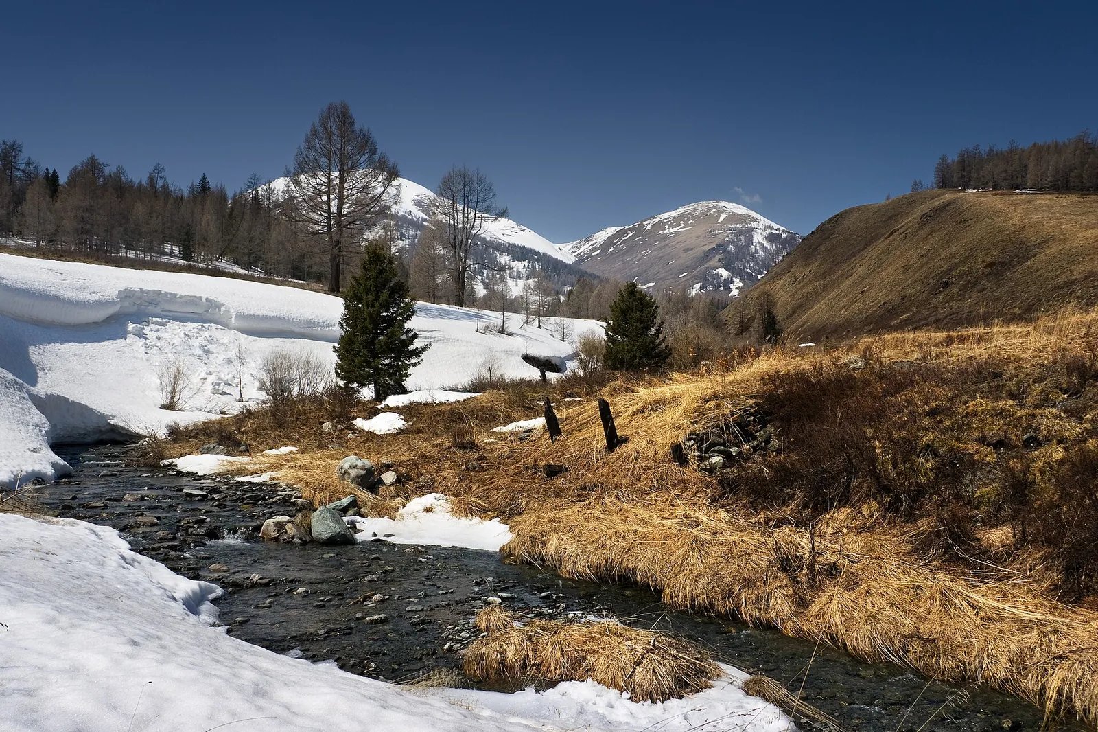 Altay Production to Triple as Order Expectations Rise