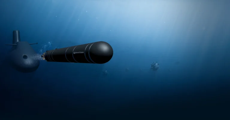 AKYA Gives Turkish Submarines a Heavyweight Torpedo Built at Home